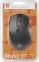 Мышь Defender Datum MM-265, черный 2