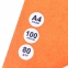 Бумага A4 80г/м2 100л. Svetocopy, белый 2