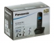 Телефонный аппарат Panasonic стандарта DECT KX-TG1611RUH 0
