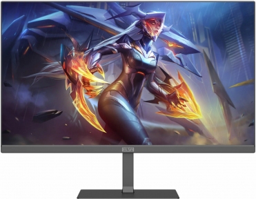 Монитор 25" ELSA EA251Q черный