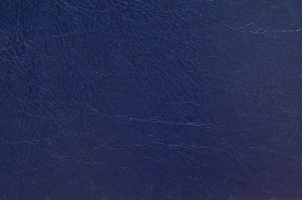 Обложка перфопереплета (картон) синяя